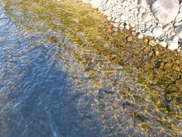 $349,000 | 153 Pine Cone Trail, Lakeville, ME 04487