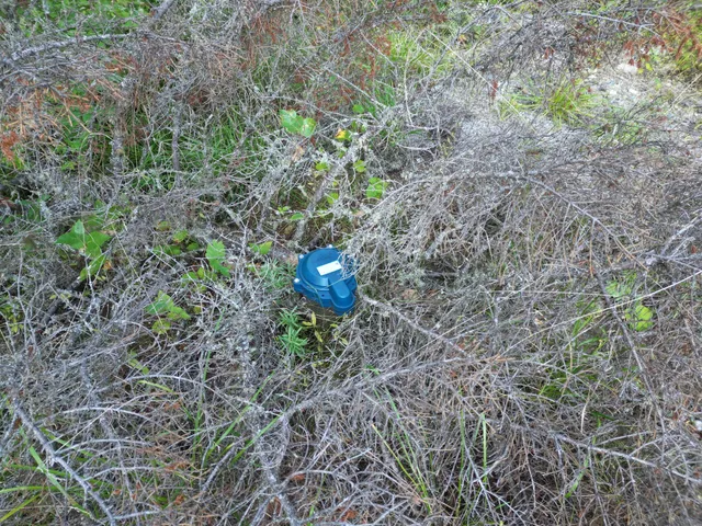 $349,000 | 153 Pine Cone Trail, Lakeville, ME 04487