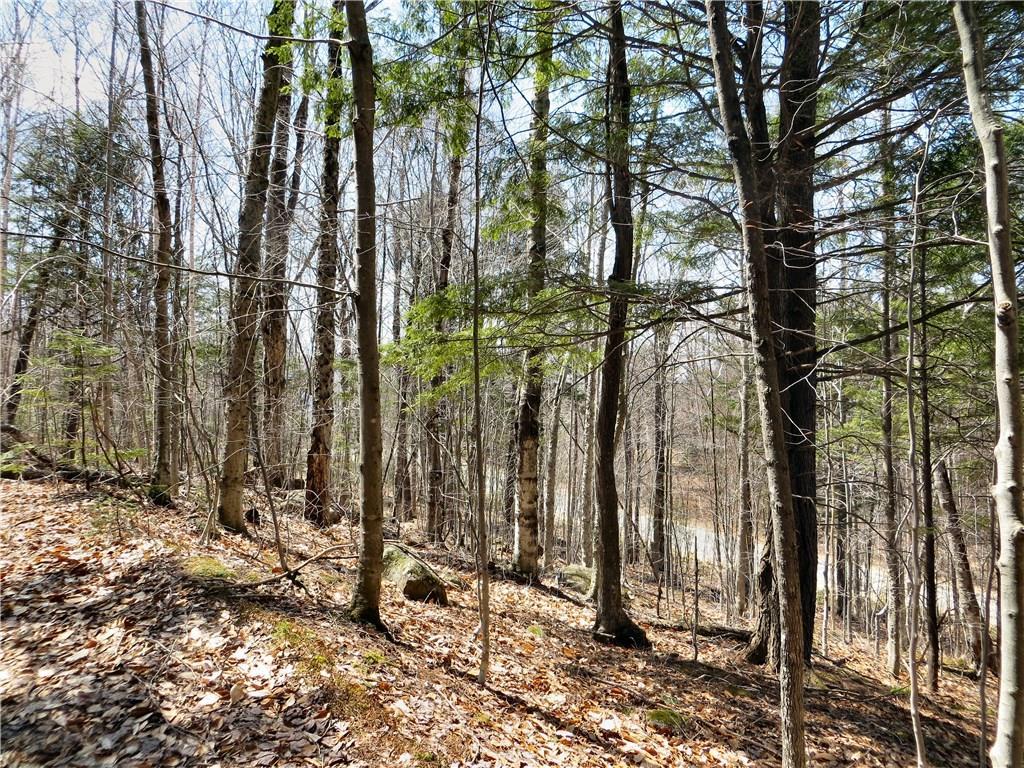 Lot 76 Douglas Road Newry, ME 04261 - Photo 6 of 14 From woods road viewing home site...