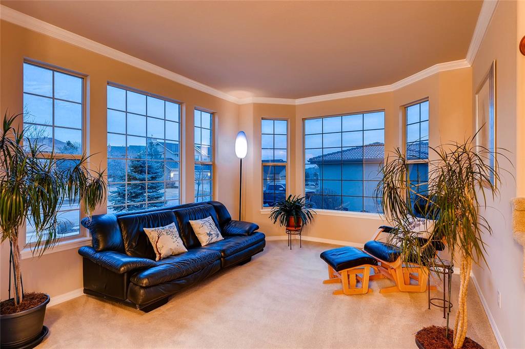 13956 Windy Oaks Road Colorado Springs, CO 80921 - Photo 9 of 34 Gallery Image 9