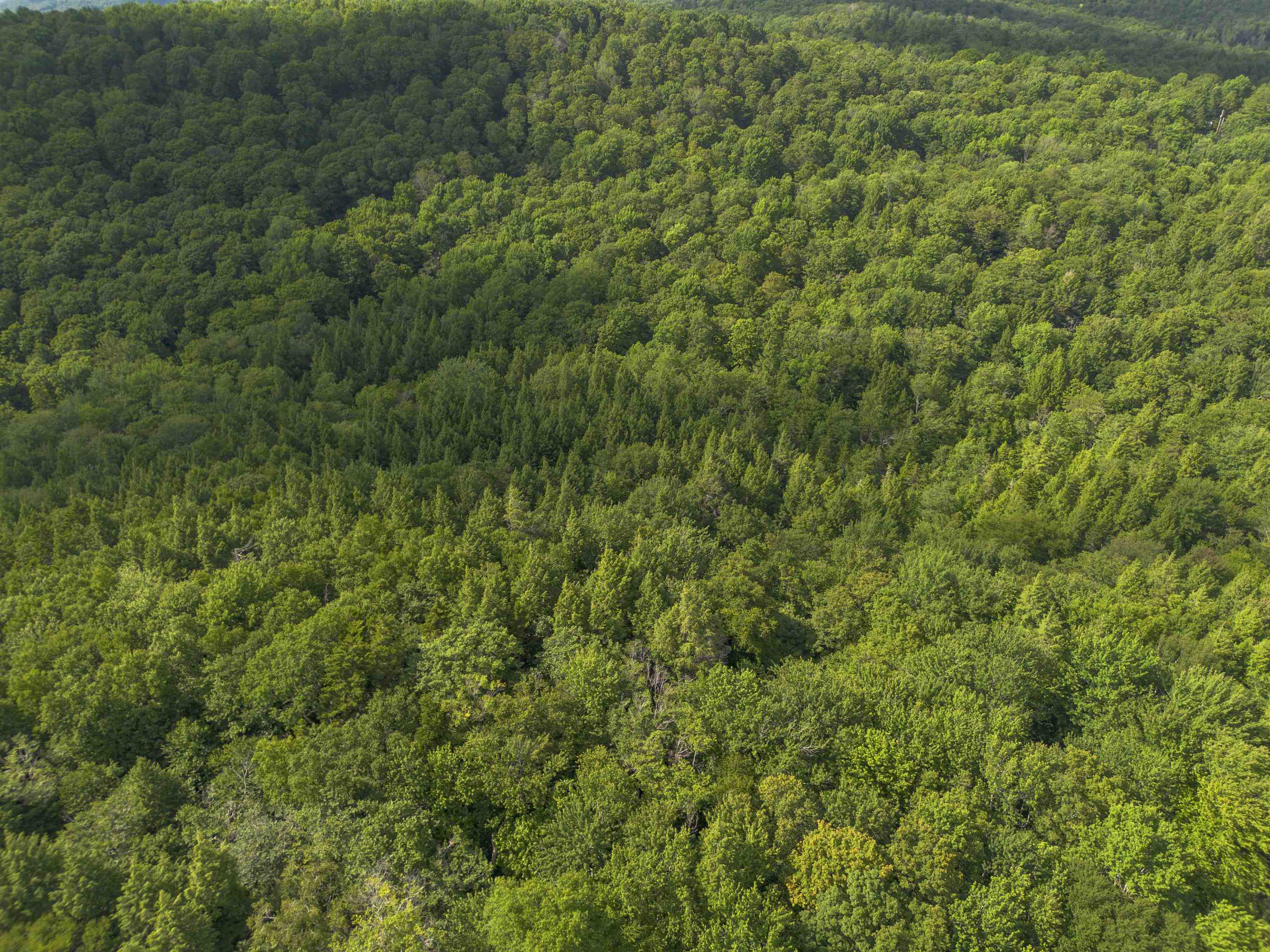 0 Ryder Pond Road Jacksonville, VT 05342 - Photo 14 of 17