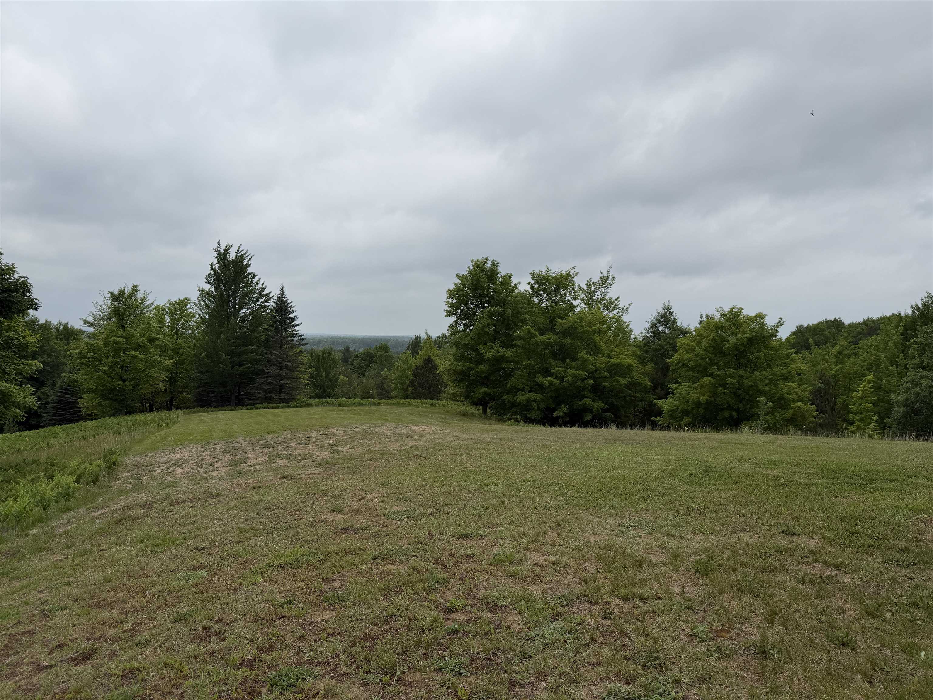 2324 Krumlauf Road Southeast Kalkaska, MI 49646 - Photo 48 of 53