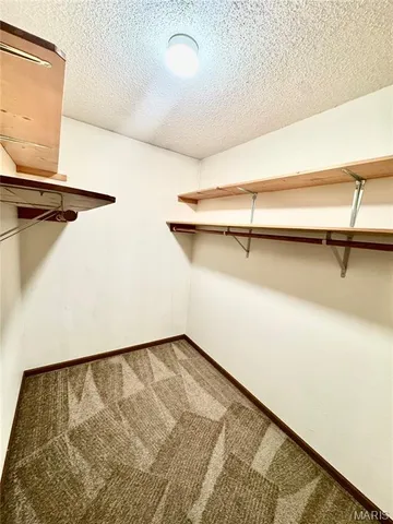 $1,325 | 123 Twin Oaks Drive, Belleville, IL 62221