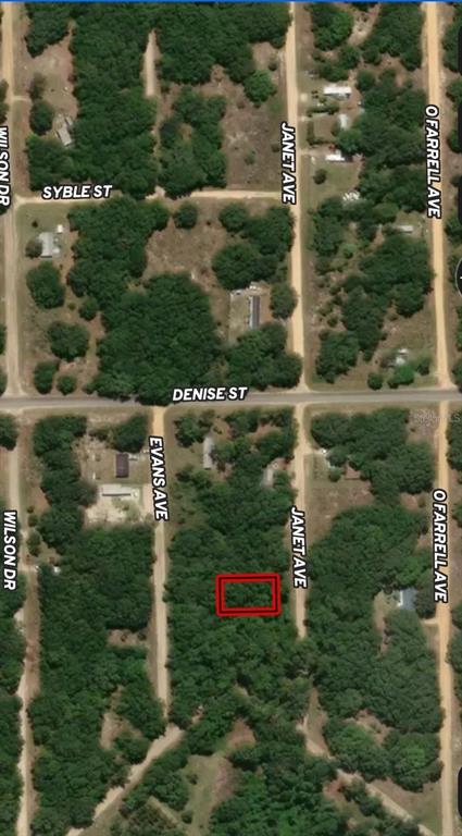 3 Janet Avenue Interlachen, FL 32148 - Photo 1 of 5