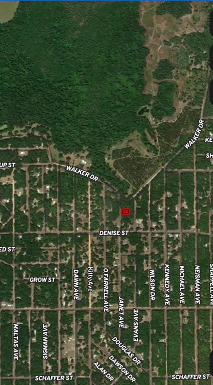 3 Janet Avenue Interlachen, FL 32148 - Photo 3 of 5