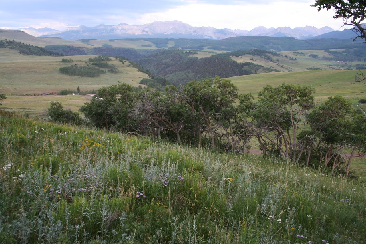 Back Toward Sneffels