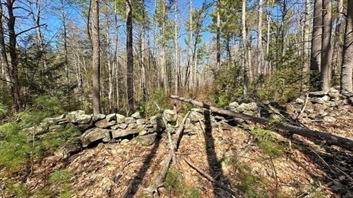0 Carter Pond Road Petersham, MA 01366 - Photo 11 of 30 a view of outdoor space with lots of trees