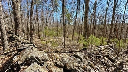 0 Carter Pond Road Petersham, MA 01366 - Photo 12 of 30 a view of a garden