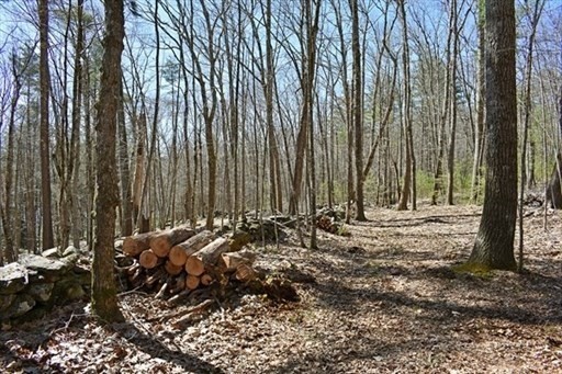 0 Carter Pond Road Petersham, MA 01366 - Photo 13 of 30