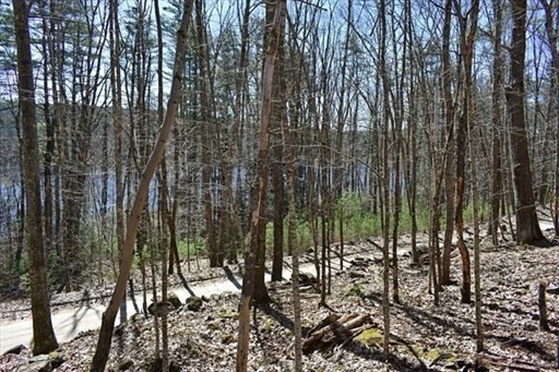 0 Carter Pond Road Petersham, MA 01366 - Photo 14 of 30 a view of outdoor space with lots of trees
