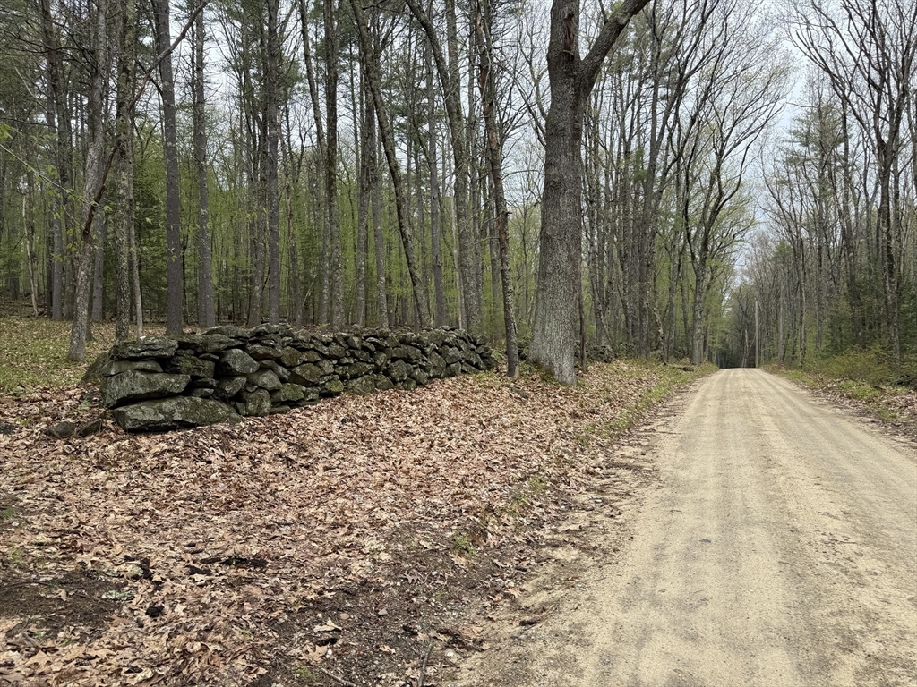 0 Carter Pond Road Petersham, MA 01366 - Photo 15 of 30 a view of a backyard of the house