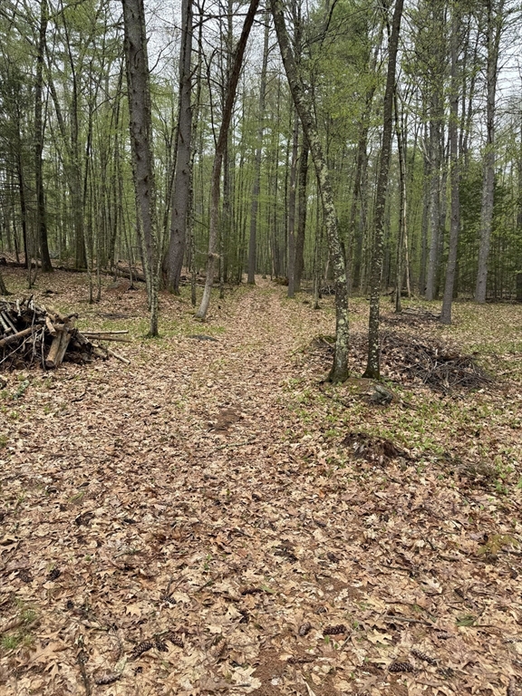 0 Carter Pond Road Petersham, MA 01366 - Photo 16 of 30 a view of outdoor space with trees