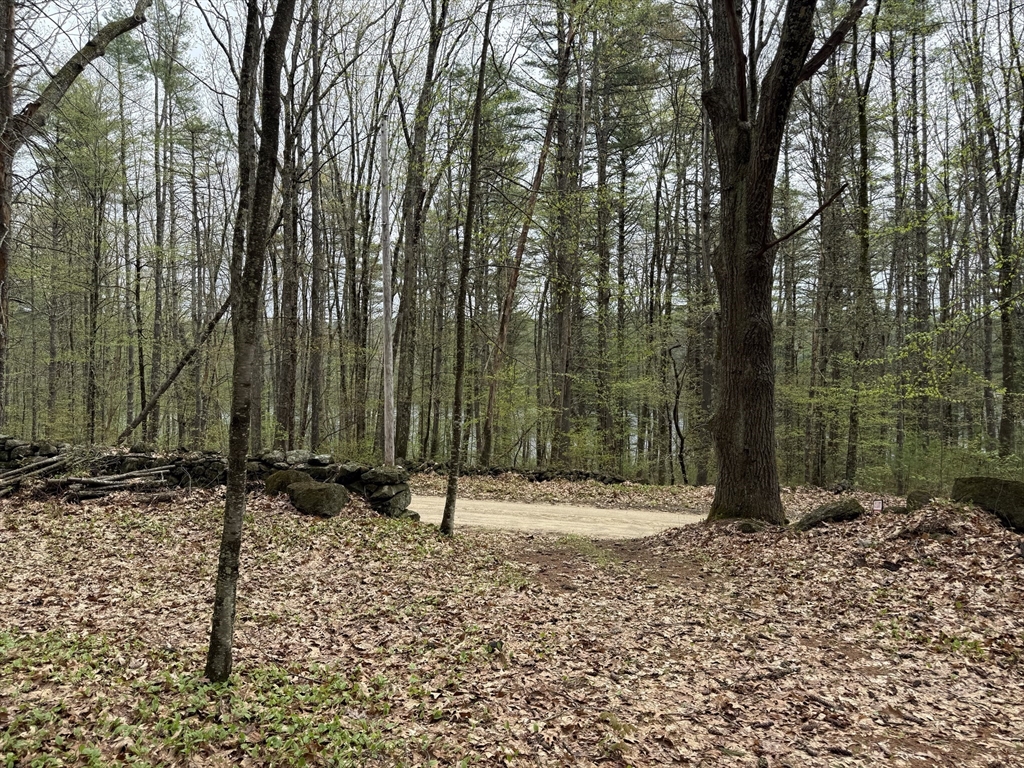 0 Carter Pond Road Petersham, MA 01366 - Photo 17 of 30 a backyard of a house with lots of green space