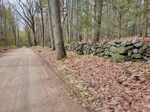 0 Carter Pond Road Petersham, MA 01366 - Photo 2 of 30 a view of a yard with trees