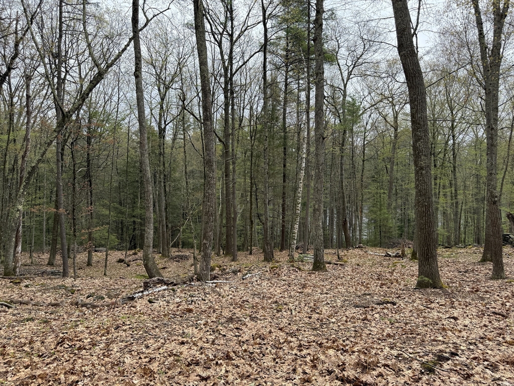 0 Carter Pond Road Petersham, MA 01366 - Photo 23 of 30 a view of outdoor space with trees