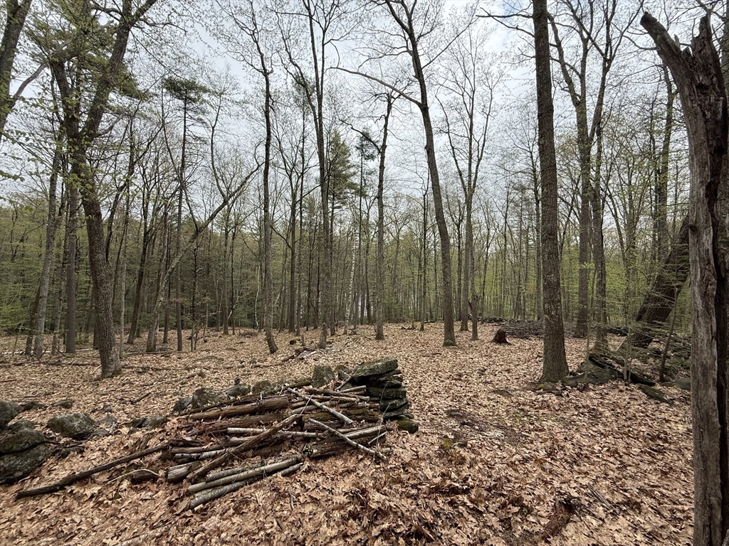 0 Carter Pond Road Petersham, MA 01366 - Photo 24 of 30 a view of a backyard with large trees