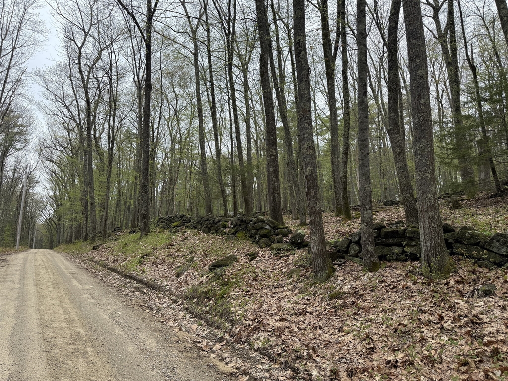 0 Carter Pond Road Petersham, MA 01366 - Photo 27 of 30 a view of a backyard of the house