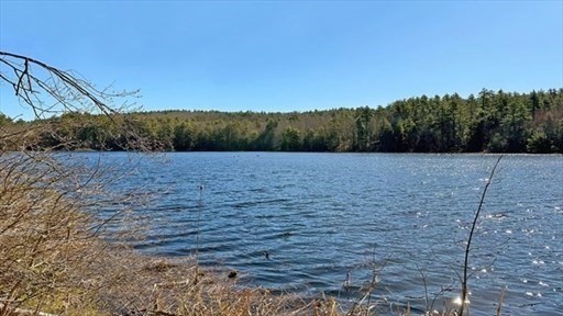 0 Carter Pond Road Petersham, MA 01366 - Photo 30 of 30 a view of park