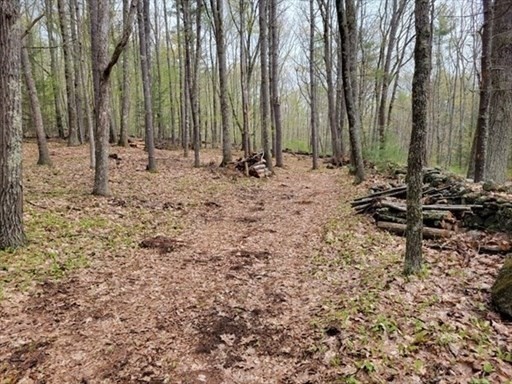 0 Carter Pond Road Petersham, MA 01366 - Photo 3 of 30 a view of outdoor space with green space