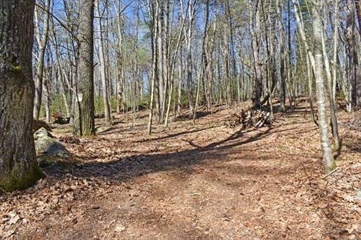 0 Carter Pond Road Petersham, MA 01366 - Photo 4 of 30 a backyard of a house with lots of green space