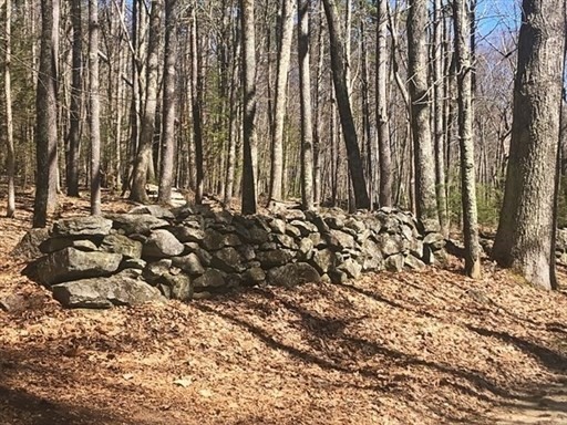 0 Carter Pond Road Petersham, MA 01366 - Photo 5 of 30 a view of a backyard of the house