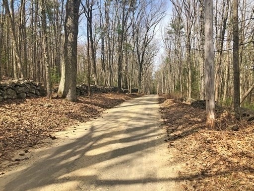 0 Carter Pond Road Petersham, MA 01366 - Photo 6 of 30 a view of a backyard of the house