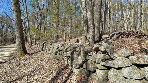 0 Carter Pond Road Petersham, MA 01366 - Photo 7 of 30 a view of a row of trees with some trees