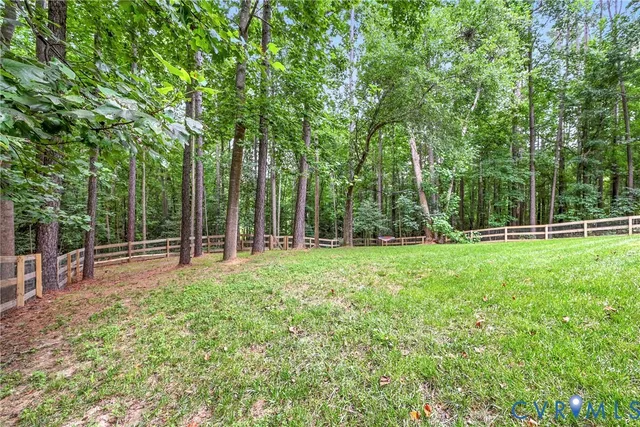 a view of a yard with a large trees