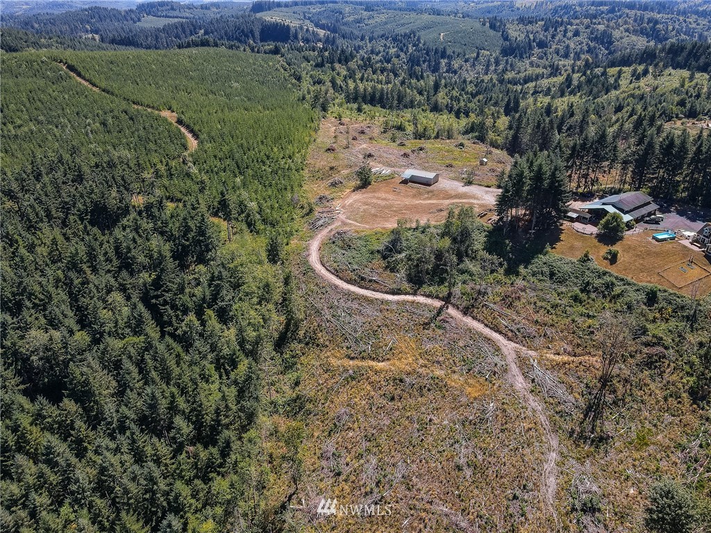 0 Battle Ridge Drive Centralia, WA 98531 - Photo 14 of 40 Gallery Image 14