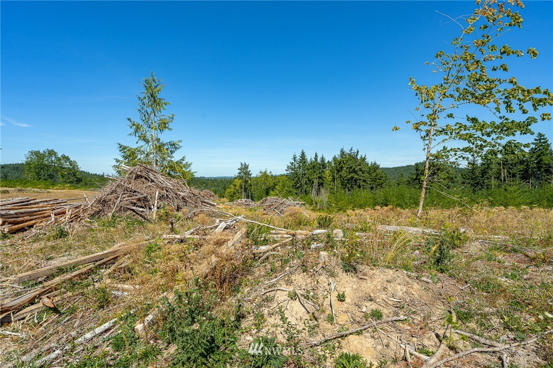 0 Battle Ridge Drive Centralia, WA 98531 - Photo 21 of 40 Gallery Image 21