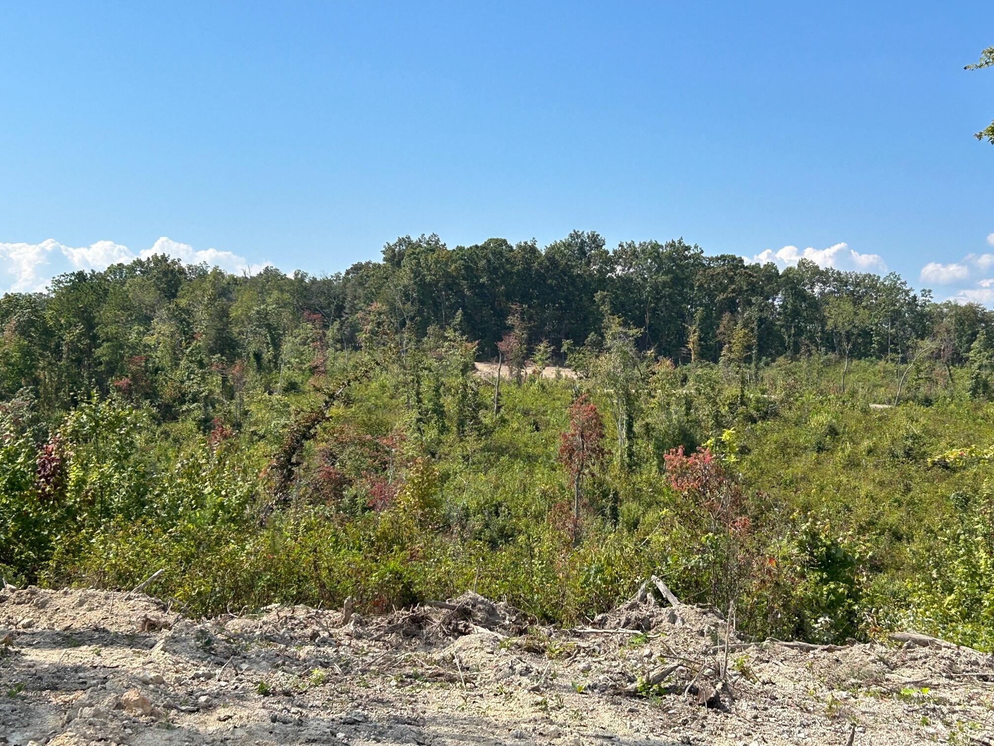 8 Euchee Road Ten Mile, TN 37880 - Photo 20 of 35