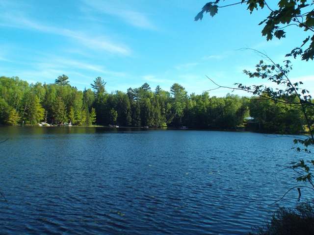 Lake Lot Lake Road Deerbrook, WI 54424 - Photo 1 of 13 Gallery Image 1