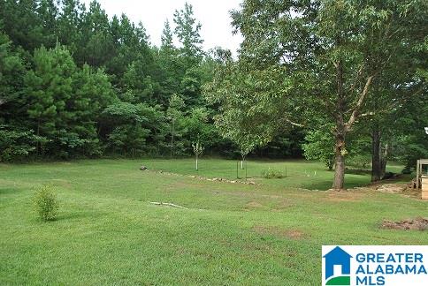 90 Old Church Road Lineville, AL 36266 - Photo 8 of 9