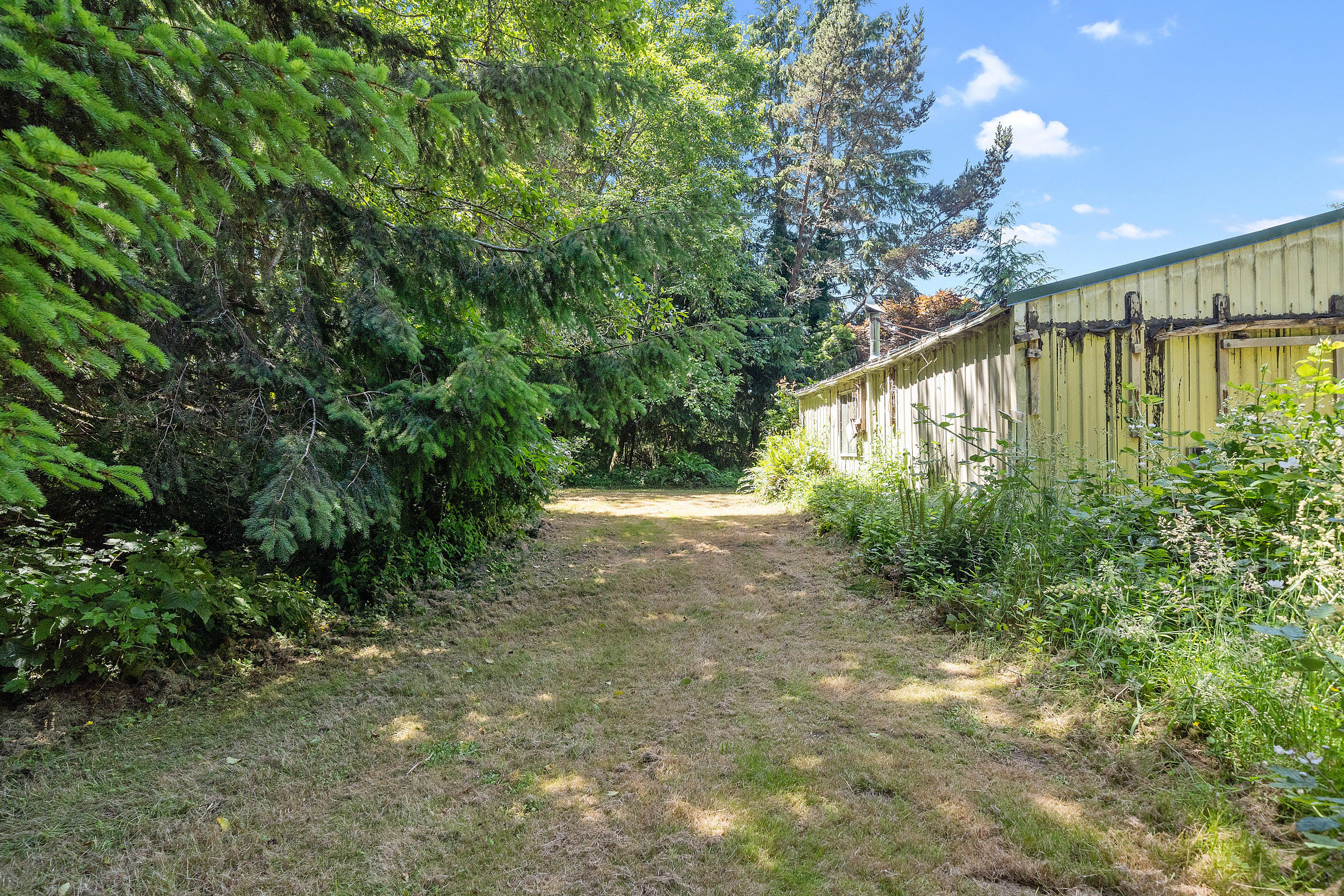 36655 North Highway 101 Nehalem, OR 97131 - Photo 17 of 29 26655 Hwy 101 Manzanita Yard