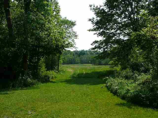 6301 Maple Lane Road Rives Junction, MI 49277 - Photo 5 of 11 Photo 5