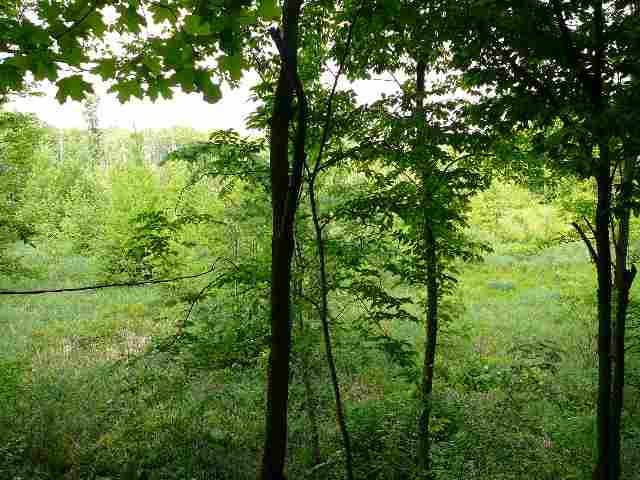 6301 Maple Lane Road Rives Junction, MI 49277 - Photo 8 of 11 Photo 8