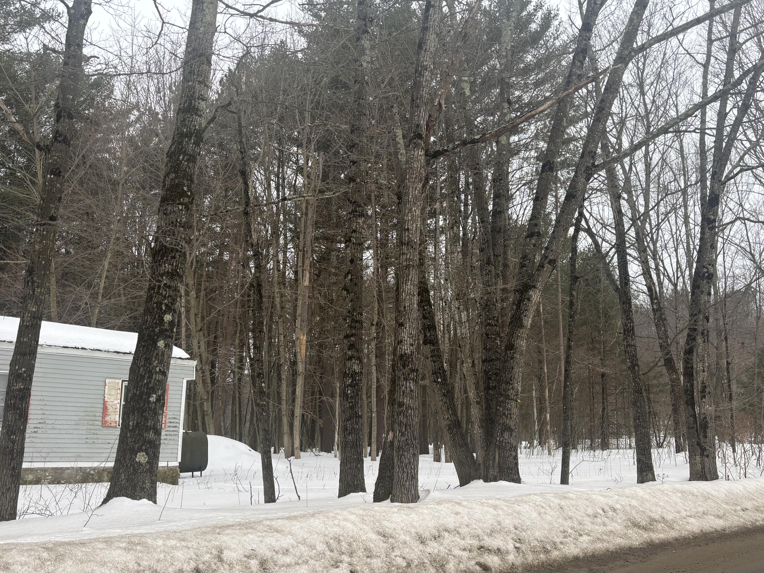 300 S Road Winthrop, ME 04364 - Photo 2 of 7 IMG_5881