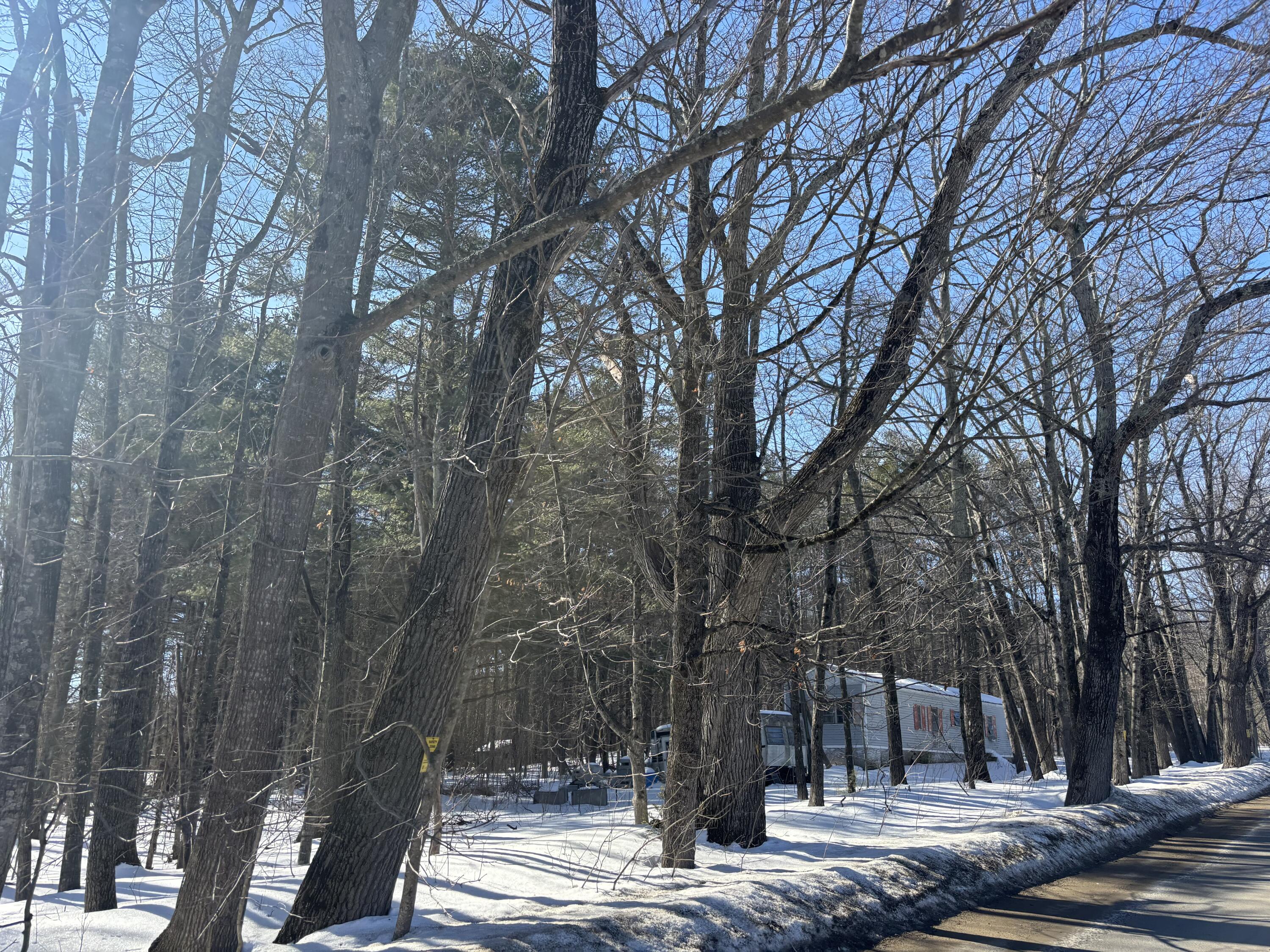 300 S Road Winthrop, ME 04364 - Photo 7 of 7 IMG_5867