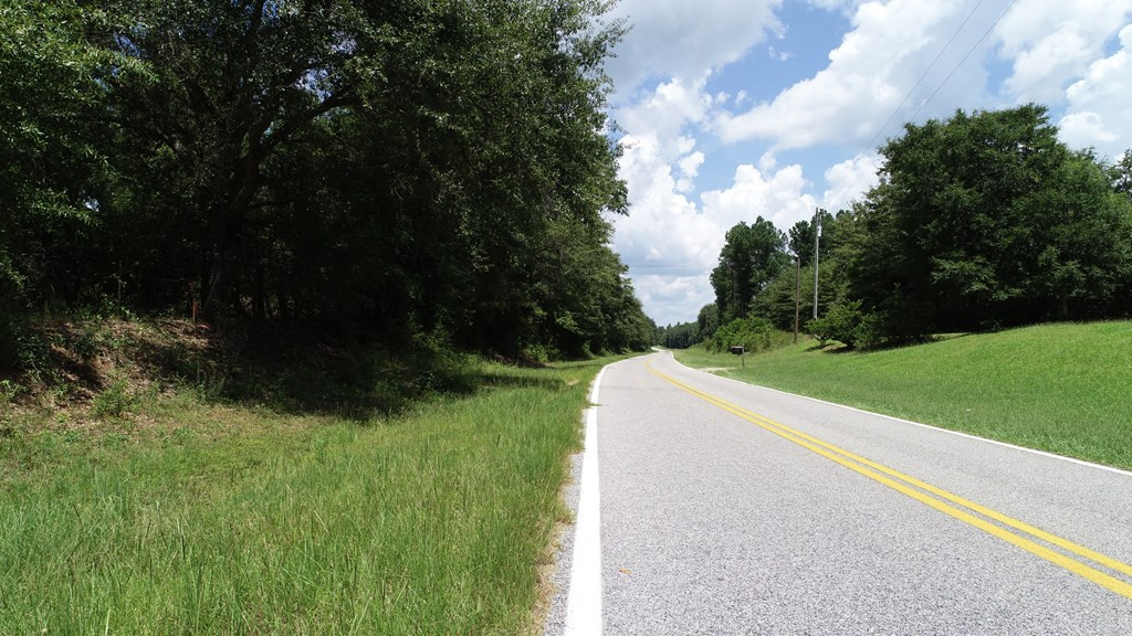 4573 County Line Road Southwest Mitchell, GA 30820 - Photo 17 of 31