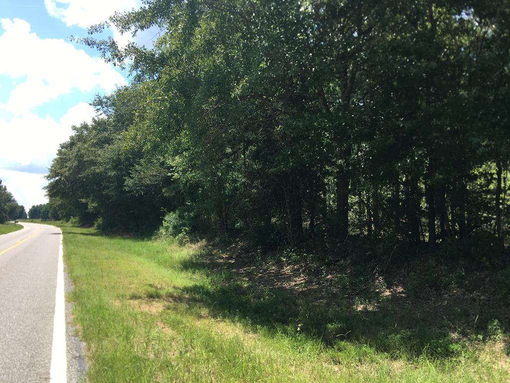 4573 County Line Road Southwest Mitchell, GA 30820 - Photo 23 of 31