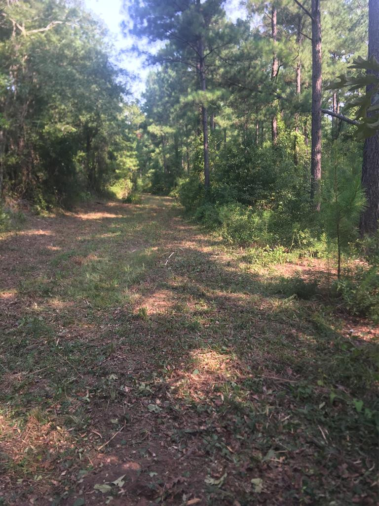 4573 County Line Road Southwest Mitchell, GA 30820 - Photo 27 of 31
