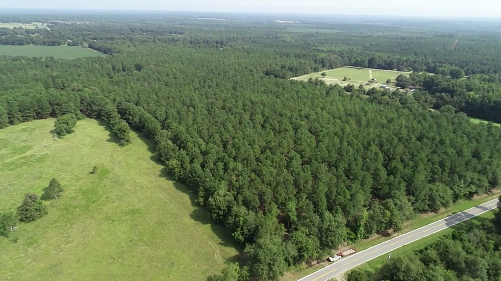 4573 County Line Road Southwest Mitchell, GA 30820 - Photo 4 of 31 12.44 acres with partial pasture