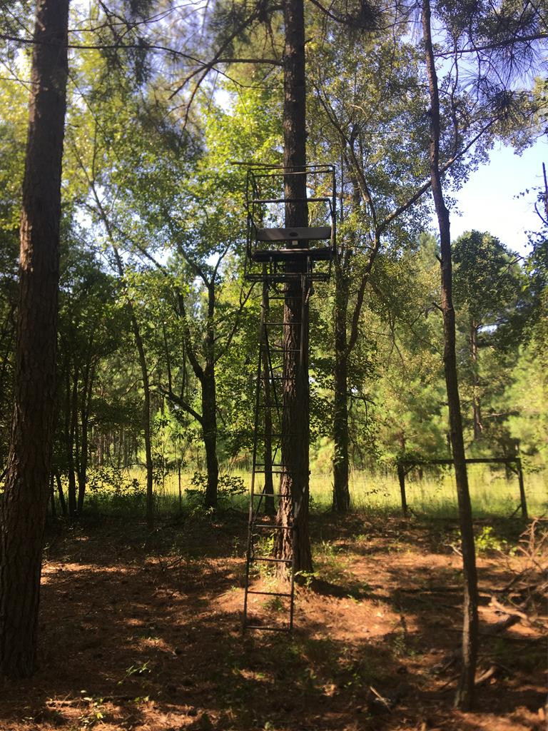 4573 County Line Road Southwest Mitchell, GA 30820 - Photo 6 of 31 stands over food plots