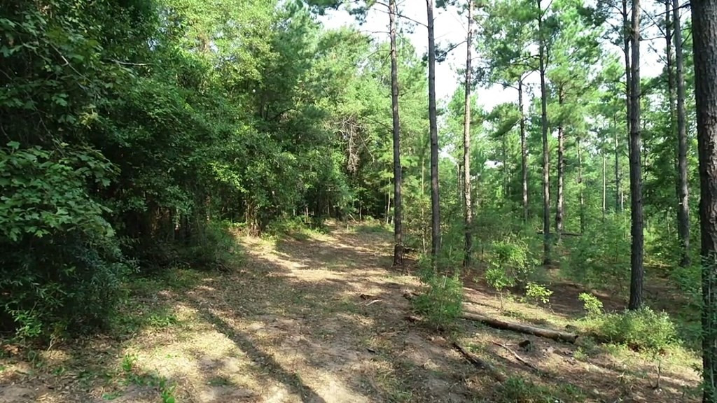 4573 County Line Road Southwest Mitchell, GA 30820 - Photo 7 of 31