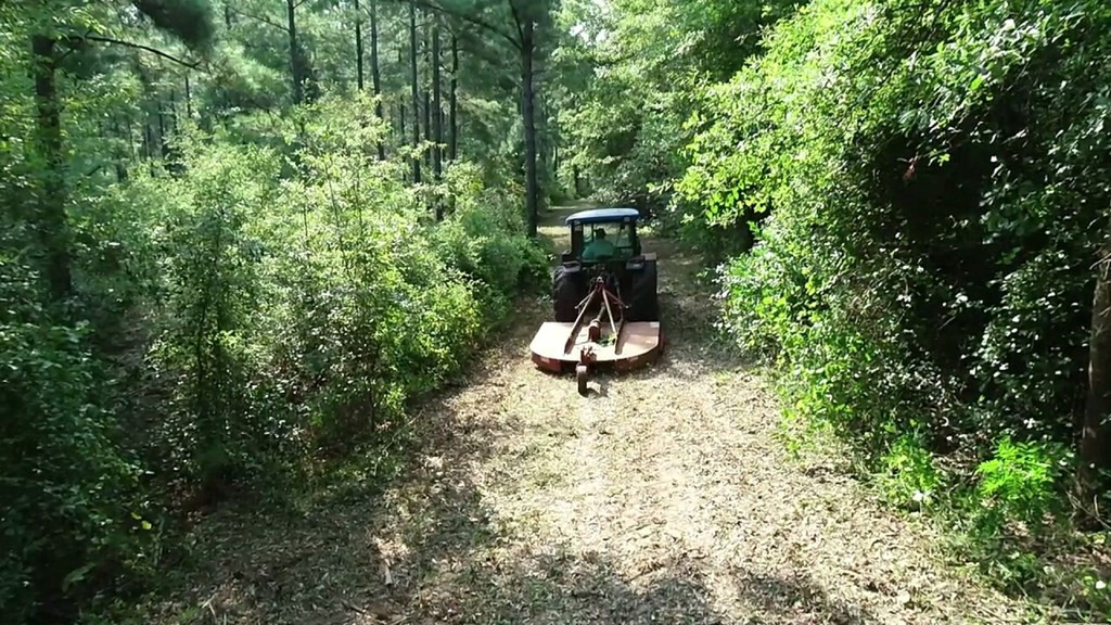 4573 County Line Road Southwest Mitchell, GA 30820 - Photo 8 of 31 recently mowed. easy access