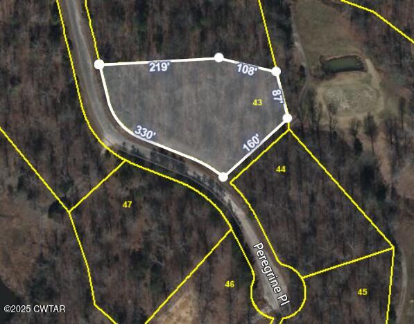 Lot 43 Peregrine Place Cedar Grove, TN 38321 - Photo 1 of 3 an aerial view of an outdoor space