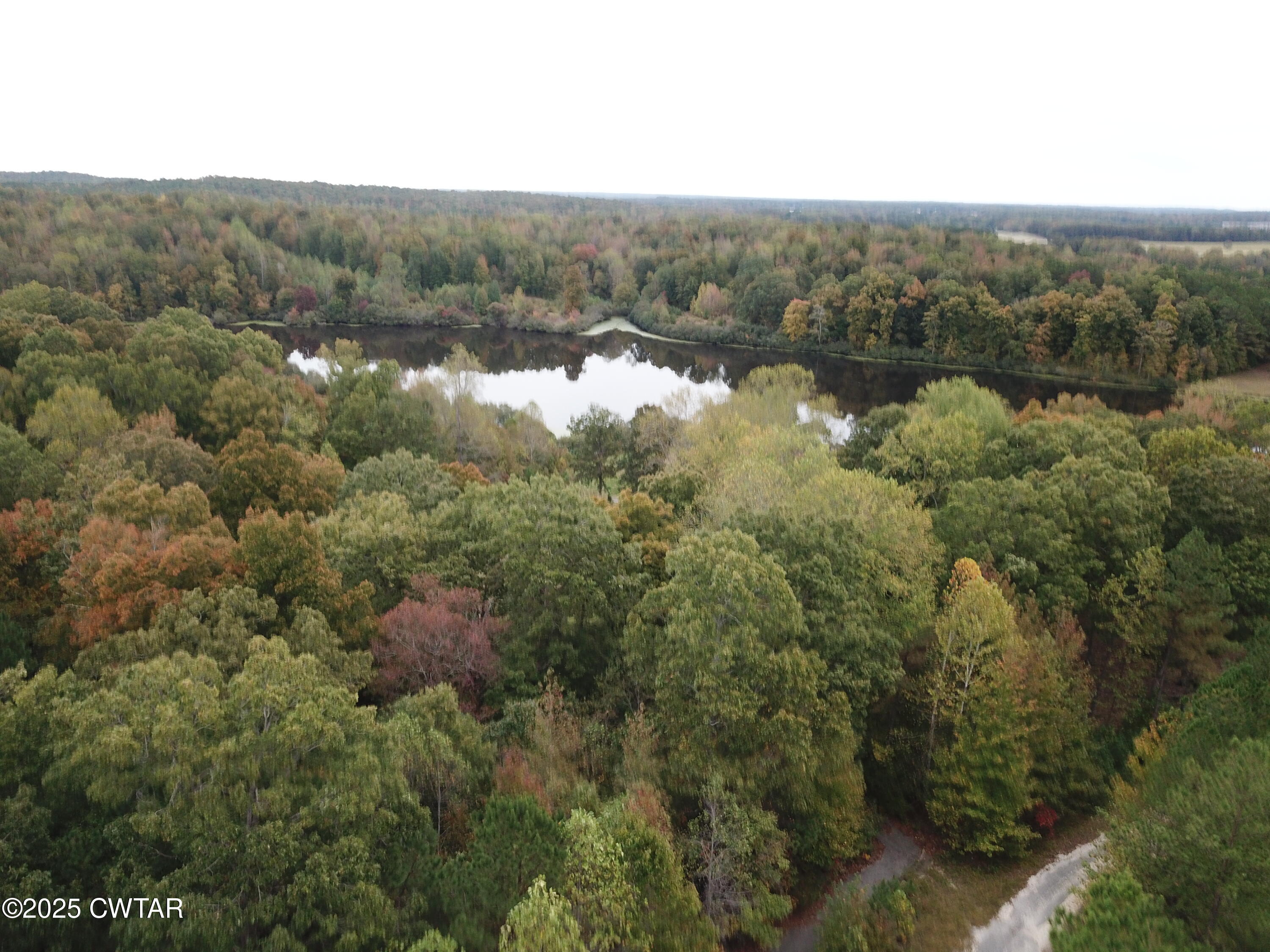 Lot 43 Peregrine Place Cedar Grove, TN 38321 - Photo 2 of 3 a view of a forest with a mountain in the background