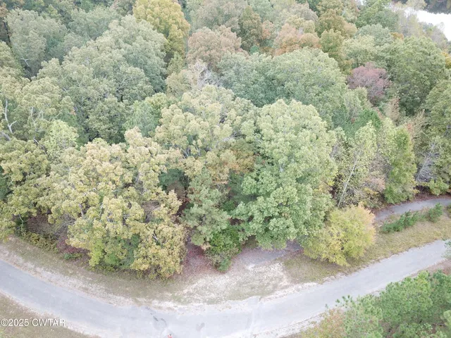 a view of a yard with a plant