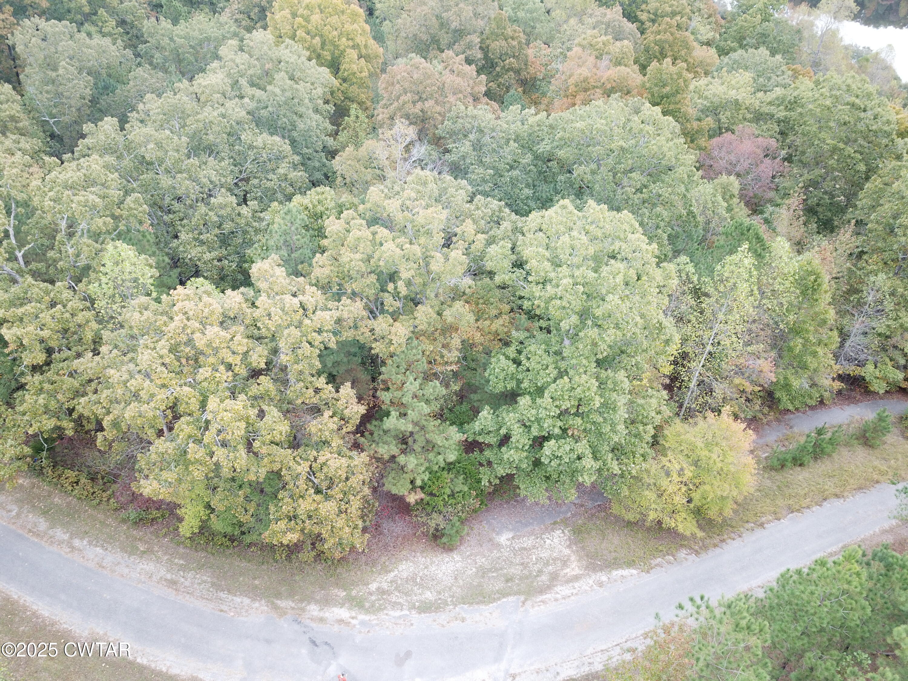 Lot 43 Peregrine Place Cedar Grove, TN 38321 - Photo 3 of 3 a view of a yard with a plant