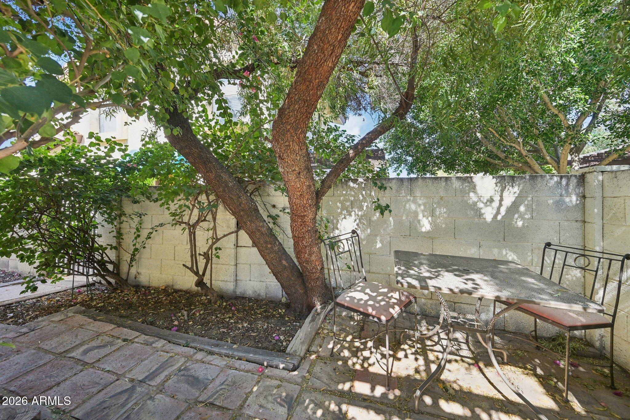 8829 South 48th Street, Unit 1 Phoenix, AZ 85044 - Photo 22 of 33 Enclosed yard